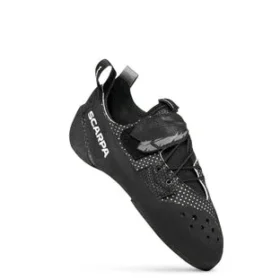blackbird ny 2 280x280 - Blackbird (Ny)